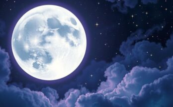 A celestial illustration featuring a glowing full moon in a starry sky, illuminating vibrant colors and cosmic elements.