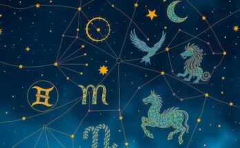 Celestial theme of the zodiac with stars and constellations in a night sky, artistic style botanical illustration.
