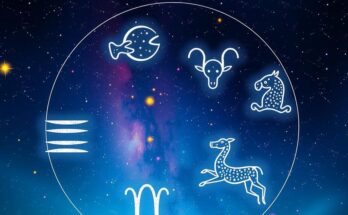 Astrological symbols of all zodiac signs on a starry night background with bright constellations.