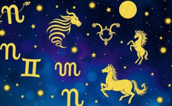Illustration of zodiac signs with stars and cosmic background representing daily horoscopes and astrology.