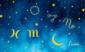 A celestial scene with zodiac symbols and constellations in a deep blue night sky.